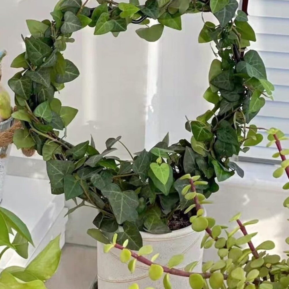 Black Metal Plant Trellis for Climbing Plants Heart Shaped Climbing Holder - Picture 7 of 7